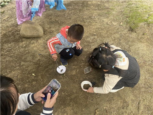 幼儿园倾听游戏攻略
