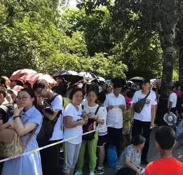 外国留学生逛庙会:下次还想来!