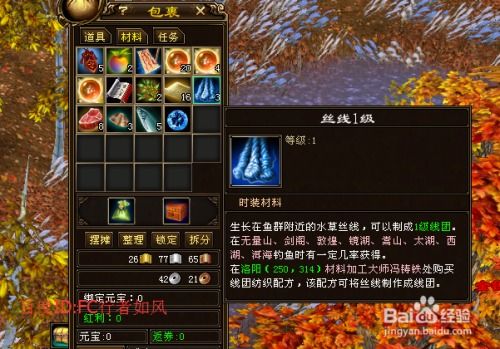 天龙八部2游戏攻略