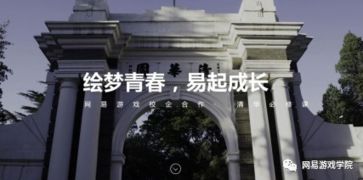 清华大学攻略游戏