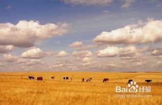 呼伦贝尔攻略游戏 呼伦贝尔攻略游戏