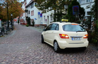 自驾租车攻略游戏