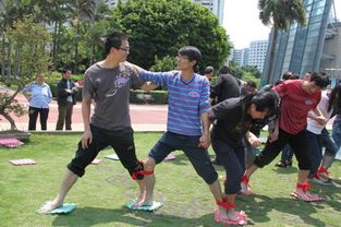 拓展训练游戏攻略