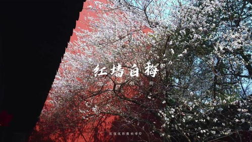 摄影爱好者拍摄“七星连珠”过程