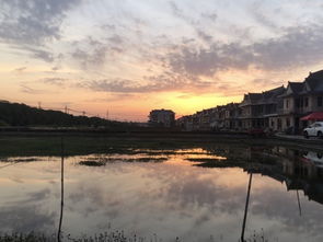 上海崇明岛攻略游戏