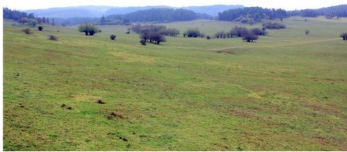 武隆仙女山攻略游戏