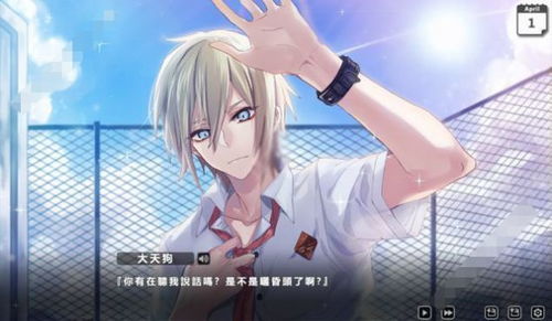 我开启了恋爱攻略游戏