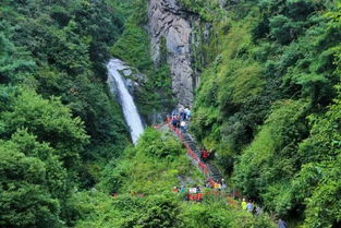 山苍山攻略游戏