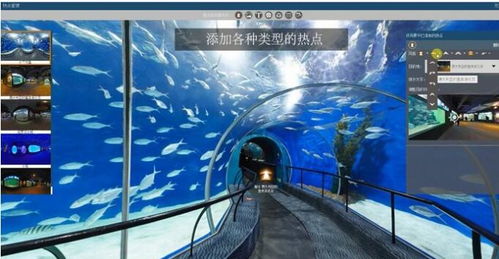 vr游戏mirror逃脱攻略 vr游戏mirror逃脱攻略