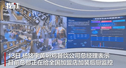 总经理回应杨铭宇黄焖鸡后厨乱象