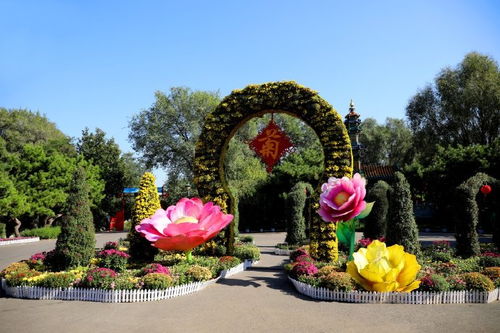 沈阳植物园攻略游戏