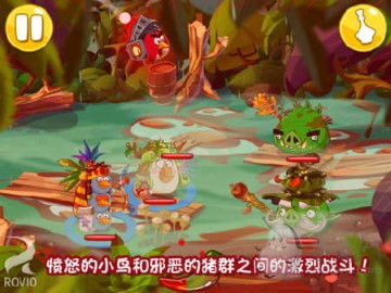 愤怒的小鸟游戏攻略那个