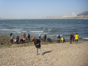 大连自驾游攻略游戏