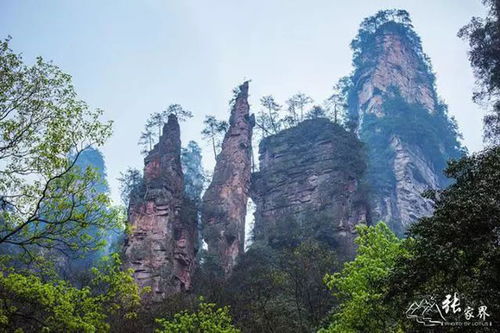 张家界三天攻略游戏