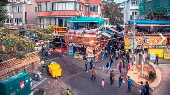 厦门环岛路攻略游戏