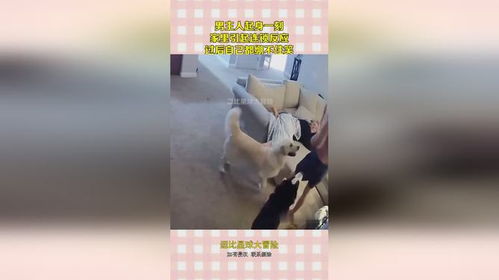 连锁反应游戏攻略男主