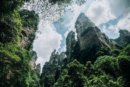 张家界自驾游攻略游戏