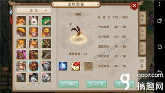蝙蝠游戏通关攻略