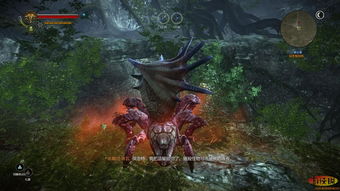 击败刺客攻略游戏