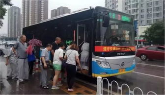 老年团挤不上公交拦路要求加车