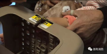 小鹏回应X9屏幕夹断男童食指