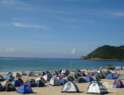 去海边露营攻略游戏