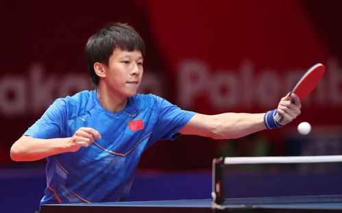 樊振东 王曼昱等拟获国家级表彰