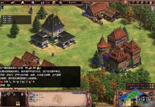 帝国2攻略单机游戏