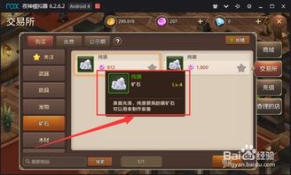 购买纯银攻略游戏