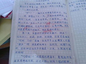 游戏攻略400字作文