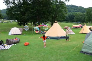 亲子露营游戏攻略外卖