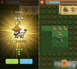 料理加惨杀游戏攻略