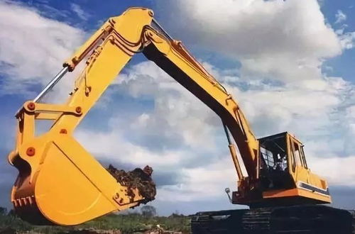 男子硬核防大风 用挖掘机按住房顶