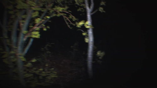 恐怖灵异游戏传说攻略