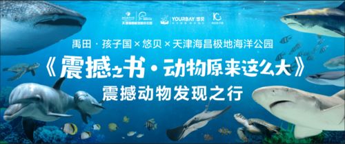 上海发现中国未有神秘生物 官方回应