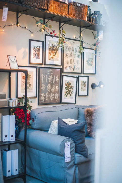 深圳买家具攻略游戏