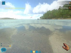 养龙生存游戏攻略