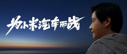 雷军时隔一周多再发文