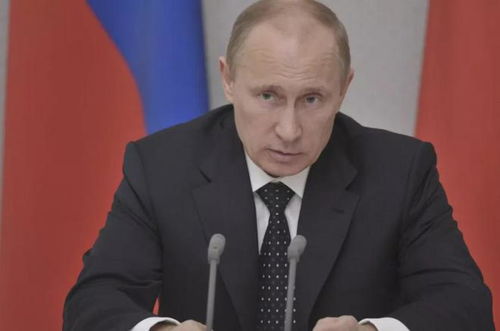 普京宣布临时停火30小时