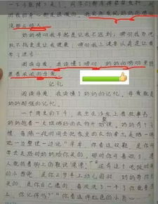 这个游戏真实作文攻略