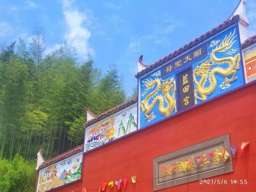 知名日本网红搬到中国南昌生活
