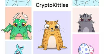 大懒猫可怕游戏攻略