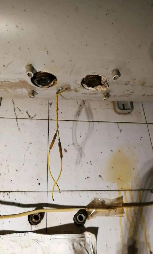 北方春天是南方人诱捕器