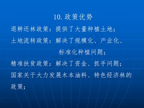 专家称\