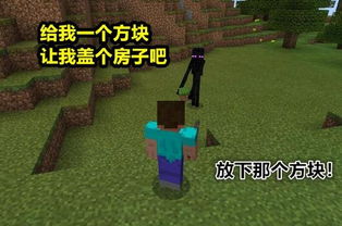 搬房子攻略游戏下载