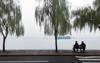 西湖游客调侃“断桥要压断了”