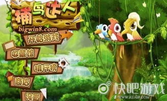 电玩飞鸟乐园游戏攻略