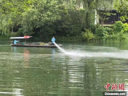 西湖风景区回应农药喷进游客嘴里