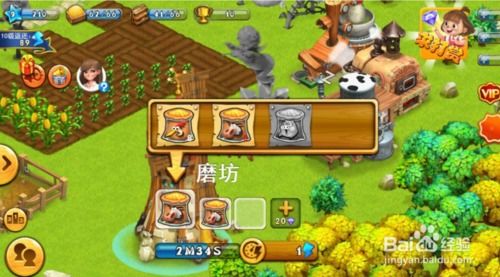 梦幻家园975攻略游戏