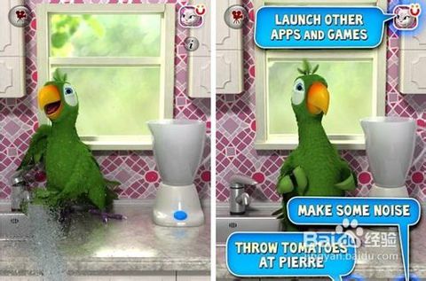 会说话的鱿鱼游戏攻略